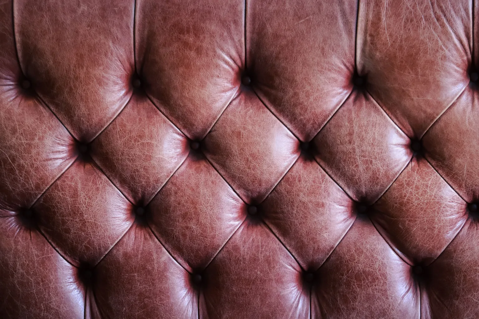 Close-up of tufted brown leather upholstery showing its texture